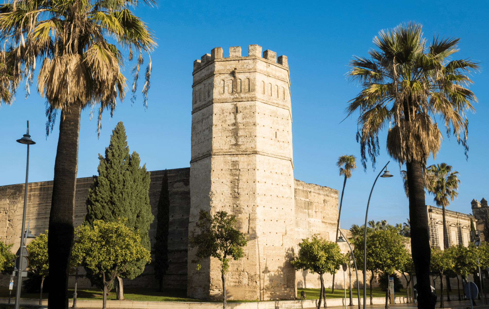 Jerez de la Frontera landscape