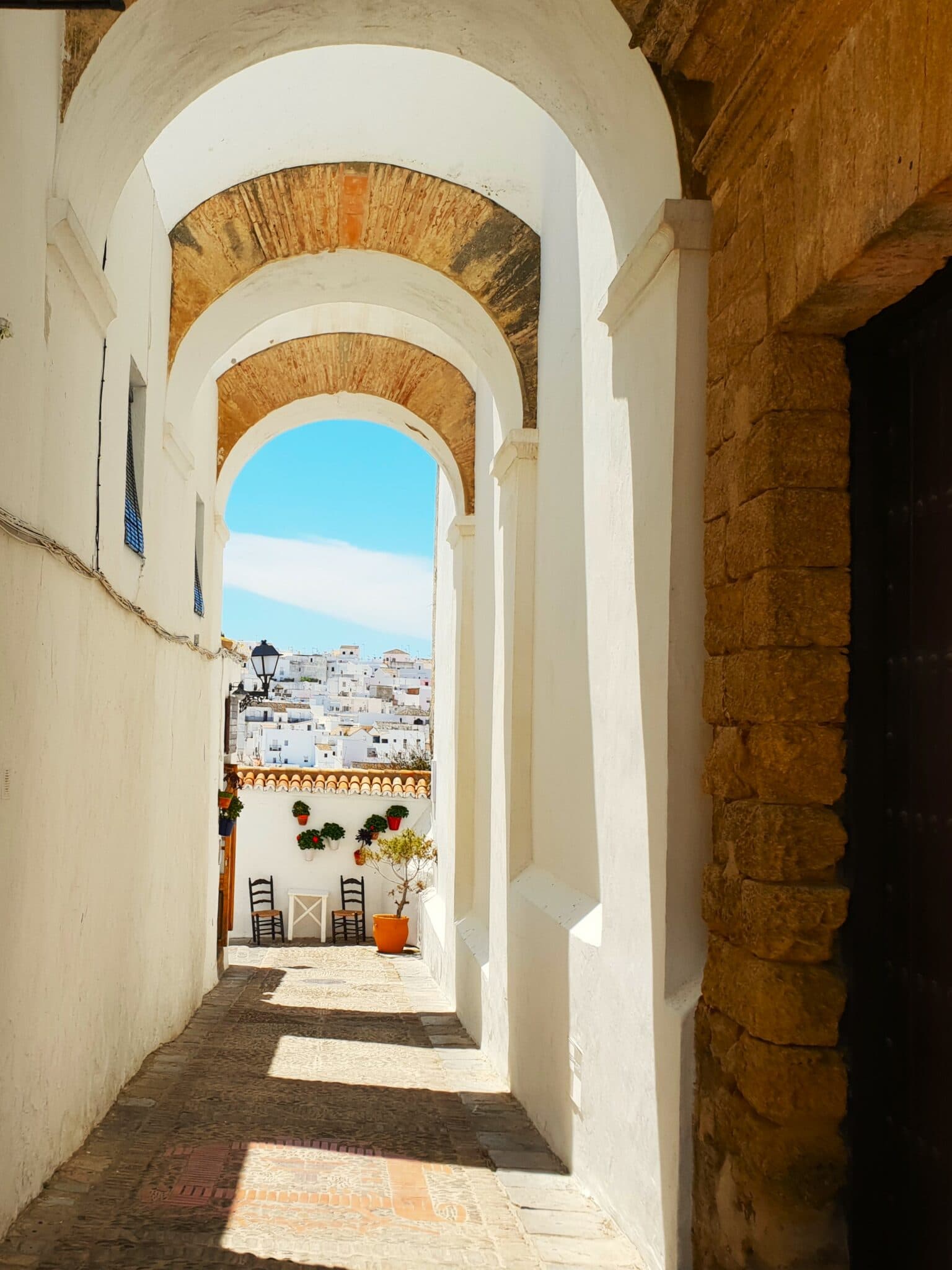 Preservation and study